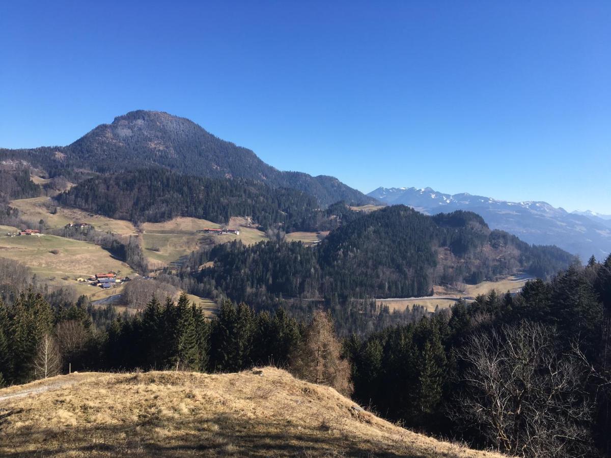 Almpartments Rosengasse Appartement Oberaudorf Buitenkant foto